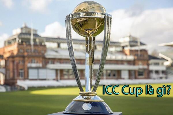ICC cup là gì