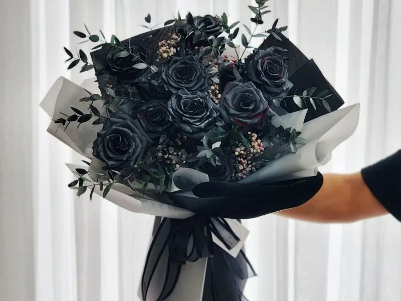hoa hong den co y nghia gi bi an ve tinh yeu va su tai sinh